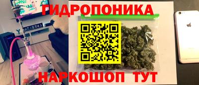 индика Комсомольск-на-Амуре
