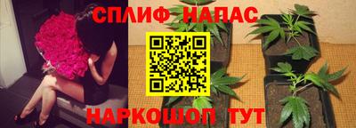 индика Комсомольск-на-Амуре