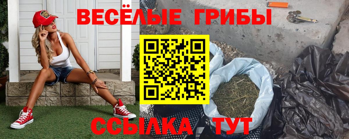 Псилоцибиновые грибы мицелий Йошкар-Ола