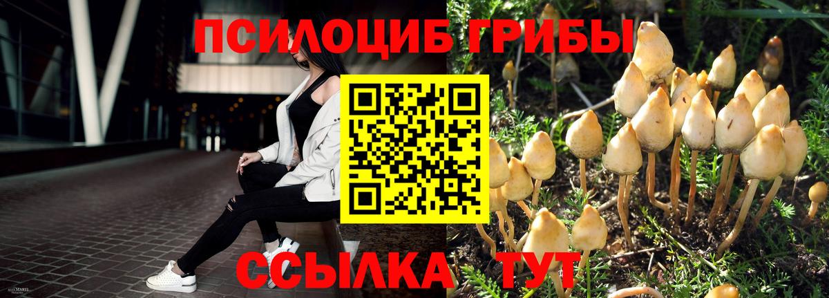 Йошкар-Ола  Псилоцибиновые грибы MAGIC MUSHROOMS  Вход с VPN 